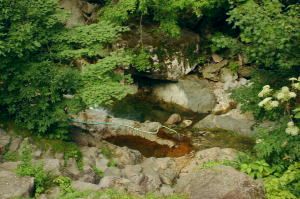 近所にある露天風呂「熊の湯」