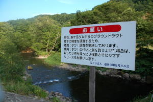 タグ付きの魚はリリースしてと書いてます