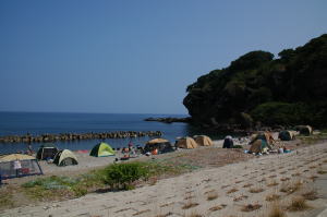 海岸のサイトとしては申し分ない